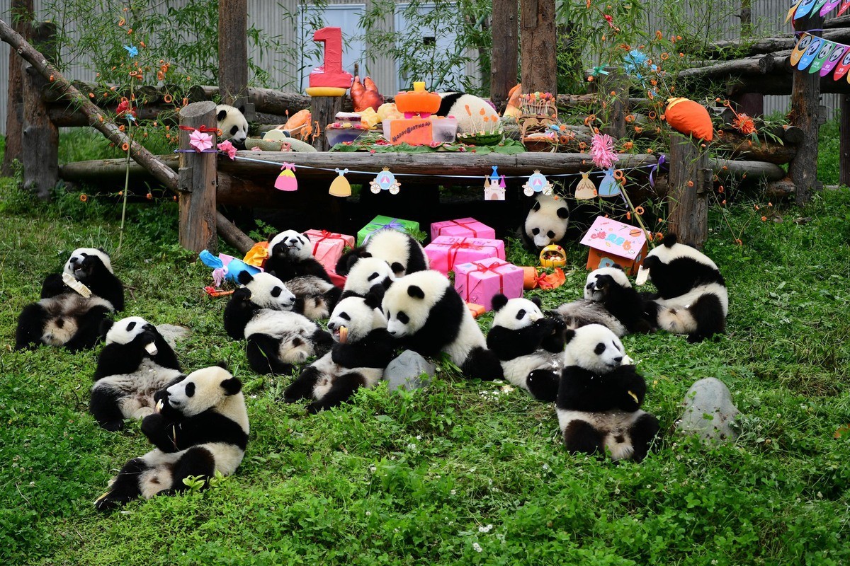 Chengdu-Panda-Base